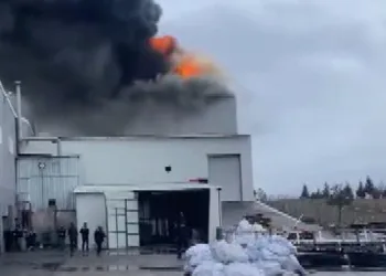 Edirne’de fabrika yangını