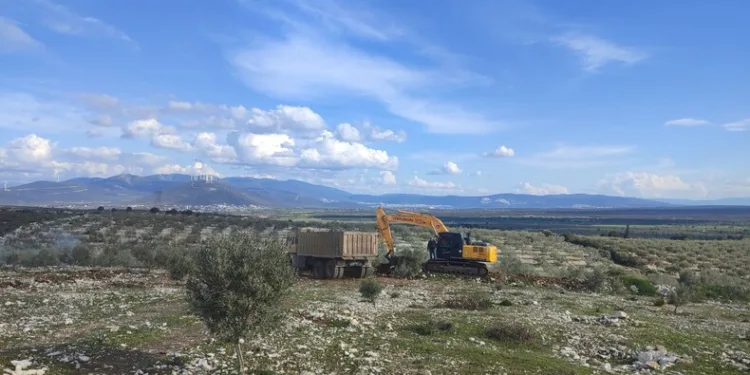 Edirne’de fabrika yangını