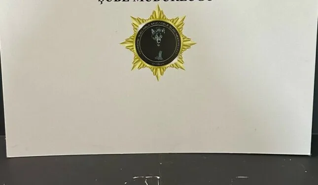 Devrilen cezaevi aracındaki yaralanan jandarma ve mahkumların isimleri belli oldu