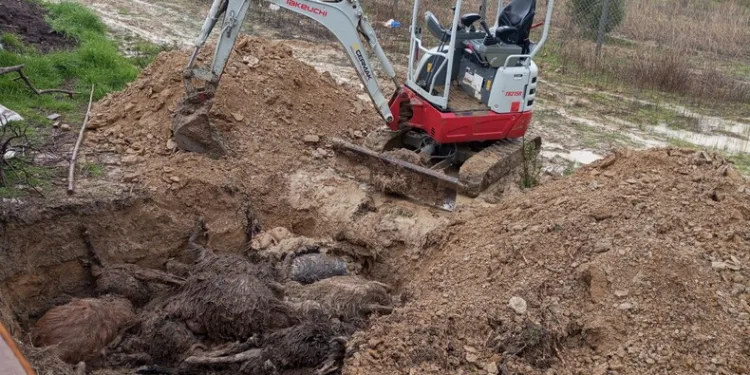 8 ayrı suçtan aranan şahıs, Seydikemer’de yakalandı