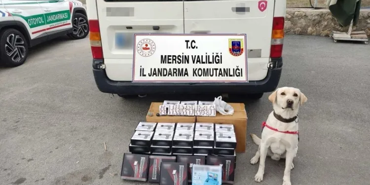 8 ayrı suçtan aranan şahıs, Seydikemer’de yakalandı