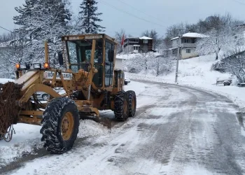 Kar fırtınası Gemlik’i beyaza bürüdü