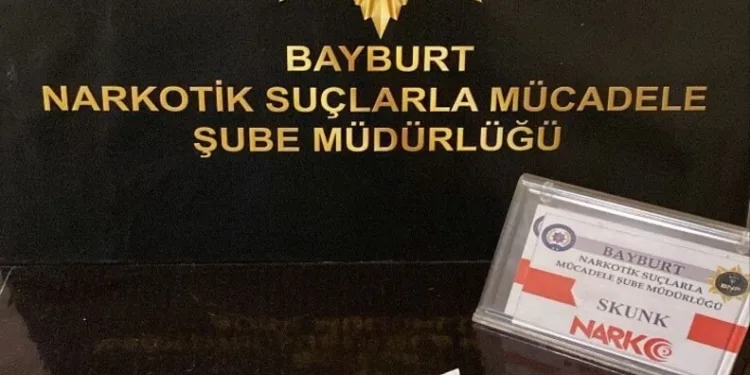 Kaçak göçmenlere VIP taşımacılık yapan şebeke Adana’da çökertildi