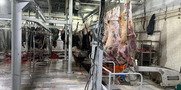 Çanakkale’de kaza yapan çekici TIR’ı çalıp, Konya’da yakalanan 5 şüpheli serbest kaldı