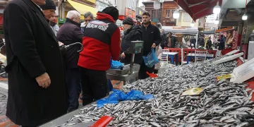 Kilosu 100 liraya düştü, kasalar dolusu hamsi satıldı