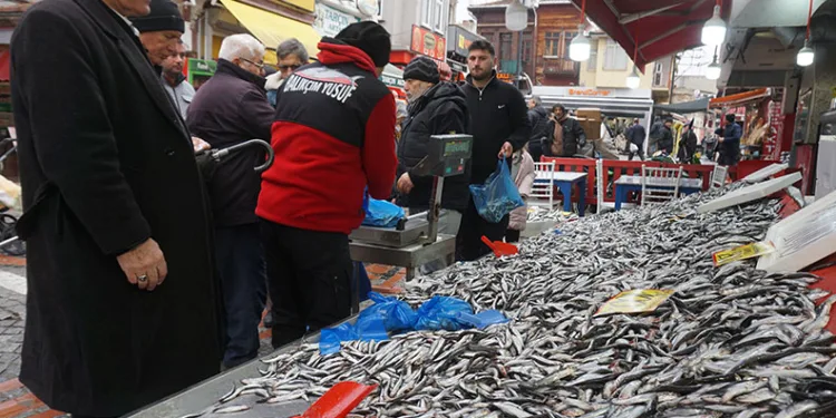 Kilosu 100 liraya düştü, kasalar dolusu hamsi satıldı