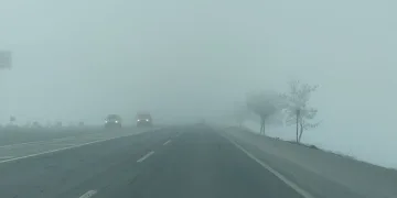 Bitlis’te sis etkili oldu, ağaçlar kırağı tuttu