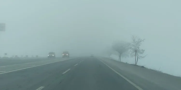 Bitlis’te sis etkili oldu, ağaçlar kırağı tuttu
