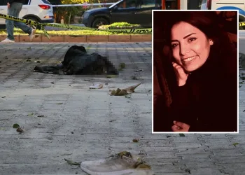 Pınar Zorlu davasında yürek dağlayan ifade