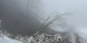 Sakarya Çam Dağı’nda heyelan