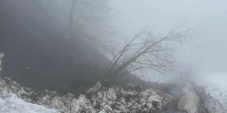 Sakarya Çam Dağı’nda heyelan