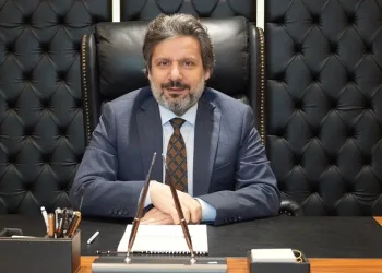 Alpiş Holding