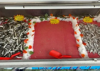 Emine Erdoğan’dan Malezya ziyaretine ilişkin paylaşım: