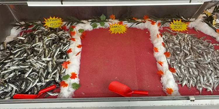 Emine Erdoğan’dan Malezya ziyaretine ilişkin paylaşım: