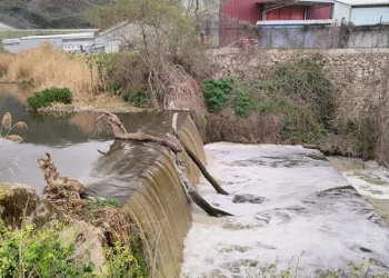 Gemlik Kent Konseyi Başkanından sert açıklama