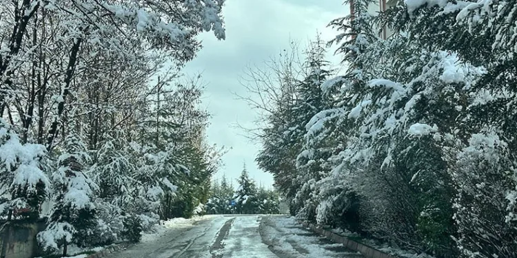 Elazığ’da kar manzaraları