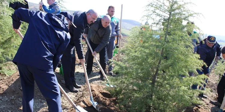 Dünya Ormancılık Günü’nde Çanakkale’de 4 bin fidan toprakla buluştu