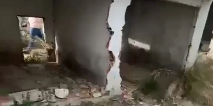Erdek’te barınak çilesi