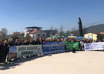 Karsak Deresi’ndeki oksijen kritik seviyeye düştü