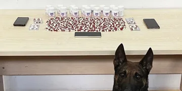 Binlerce uyuşturucu hapla yakalanan 2 şüpheli tutuklandı