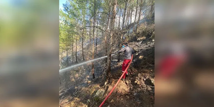 Taksiciye dehşeti yaşatmıştı, silah kullanmamış