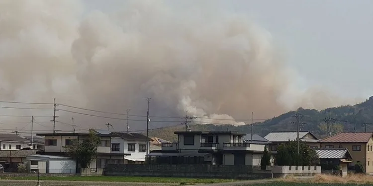 Japonya’daki orman yangınları devam ediyor