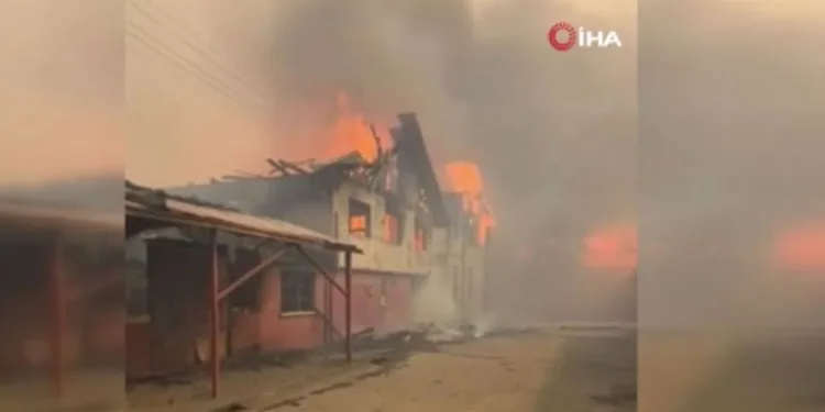 Şili’de orman yangınları 7 bin 821 hektarlık alanı küle çevirdi