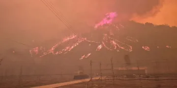Güney Kore’deki orman yangınları yayılmaya devam ediyor