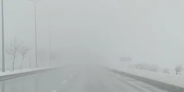 Bingöl- Muş yolunda sis etkili oldu