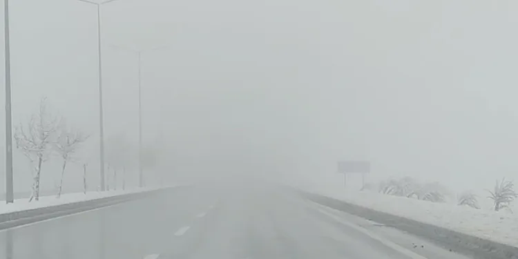 Bingöl- Muş yolunda sis etkili oldu