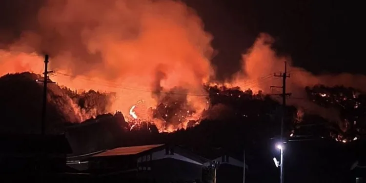 Japonya’da 4 gündür süren orman yangınları 1 eyalete daha sıçradı