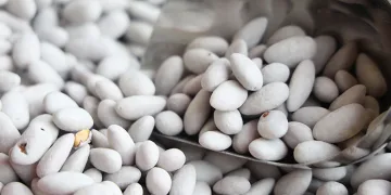 Ramazan ayının vazgeçilmezi ‘badem şekeri