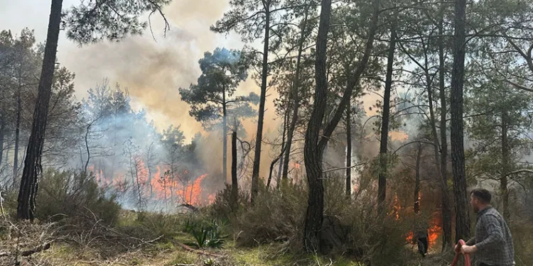 Kemer’de orman yangını