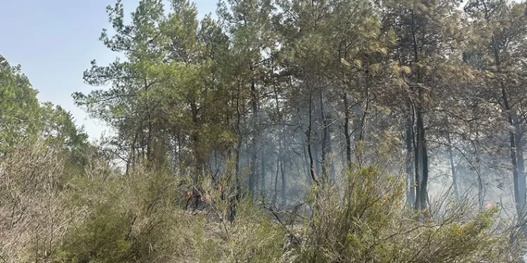 Kemer’deki orman yangını kontrol altına alındı