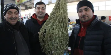 Çiçek bamyanın fiyatı gram altını geçti