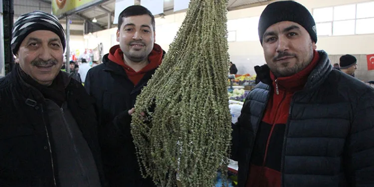 Çiçek bamyanın fiyatı gram altını geçti