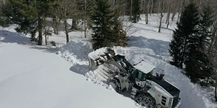 Artvin’de kar yağışı durdu, köylerde yol açma çalışmaları sürüyor