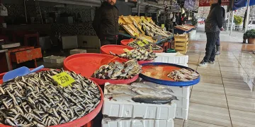 Bandırma’da Ramazan ayında balık bolluğu
