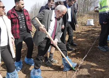 Çiftçiye destek için 6 dekarlık alana ahududu dikildi