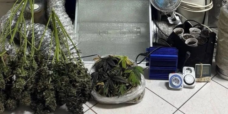 Kapıcı dairesi uyuşturucu imalathanesi çıktı