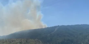 Çanakkale’deki orman yangınında 3 hektar alan zarar gördü
