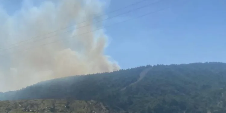 Çanakkale’deki orman yangınında 3 hektar alan zarar gördü