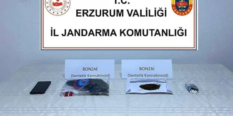 Erzurum’da uyuşturucu tacirlerine operasyon