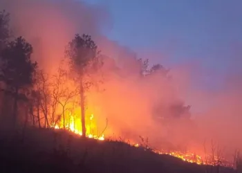 Hatay’daki orman yangını kontrol altında