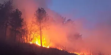 Hatay’daki orman yangını kontrol altında