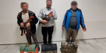 Antalya’da dövüşe hazırlanan horozlar muhafaza altına alındı