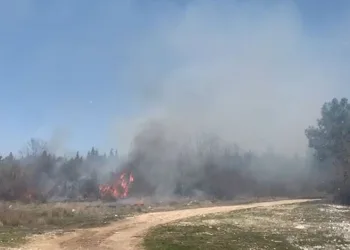 Bursa’da ziraat alanında başlayan yangın ormana sıçradı