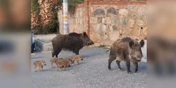 Ramazanda tercih edilen tatlılar