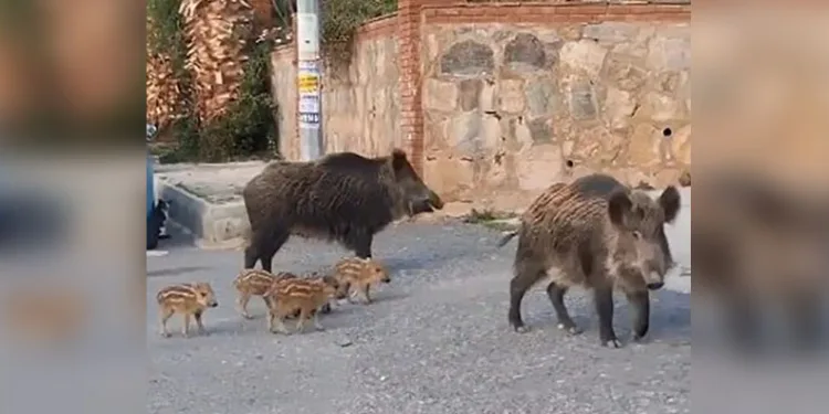 Ramazanda tercih edilen tatlılar