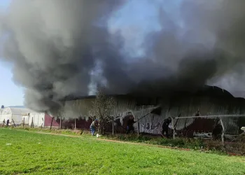 Bursa’da gül serası alevlere teslim oldu